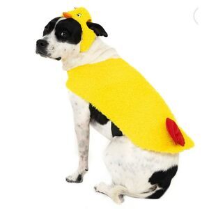 NWOT Vibrant Life Halloween Dog & Cat Costume Chicken